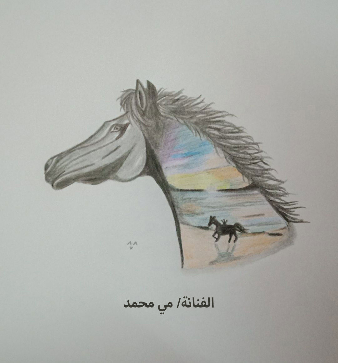المسابقة السابعة 7